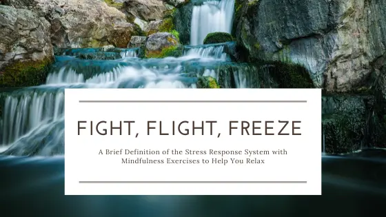 What is Fight, Flight, Freeze? A Brief Definition of the Stress Response System with Mindfulness Exercises to Help You Relax