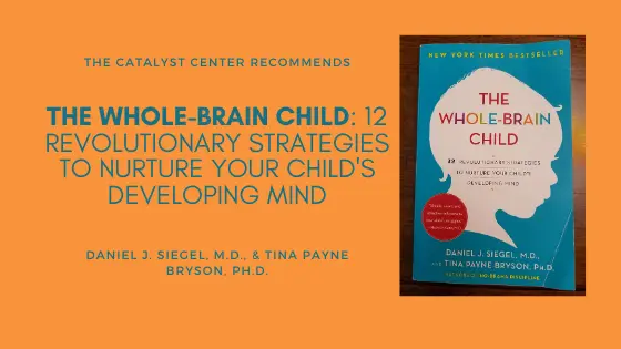 Book Review: The Whole-Brain Child: 12 Revolutionary Strategies to Nurture Your Child’s Developing Mind