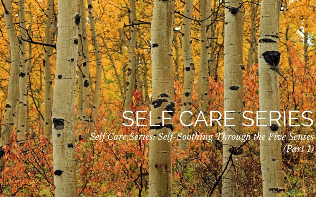 Self Care Series: Self-Soothing Through the Five Senses (Part 1)