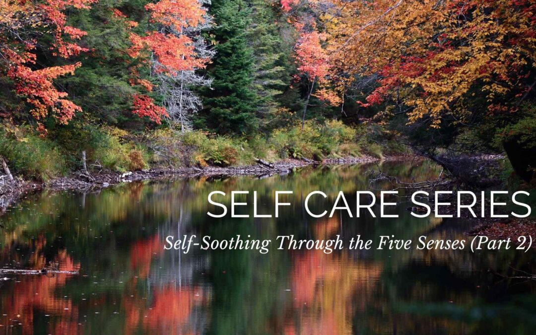 Self Care Series: Self-Soothing Through the Five Senses (Part 2)