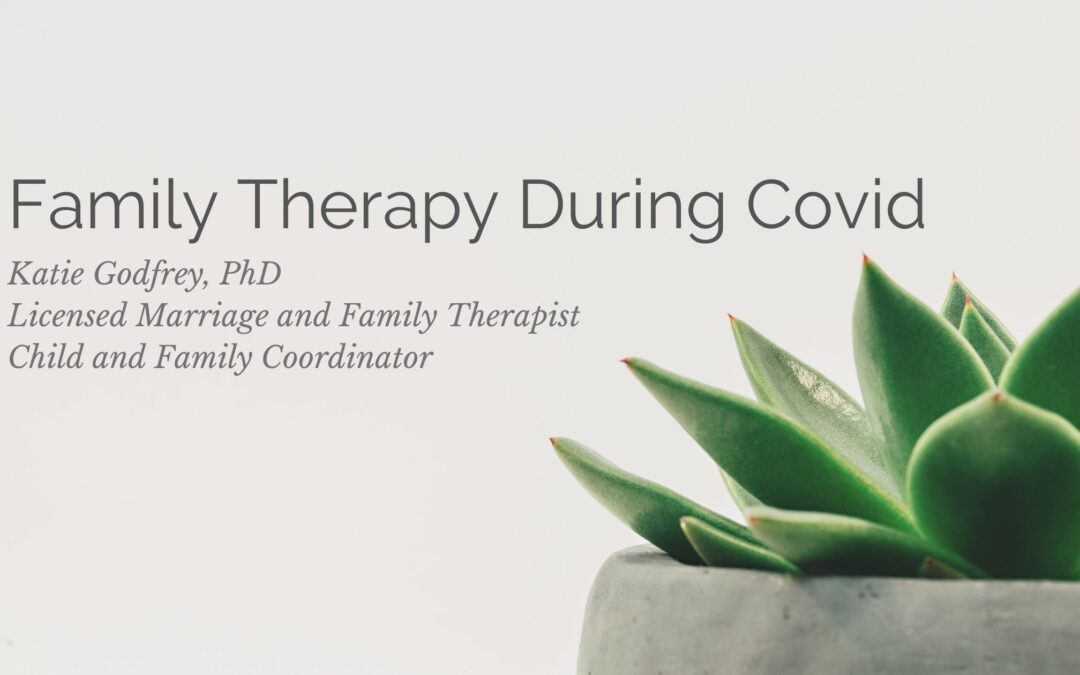 Family Therapy During Covid