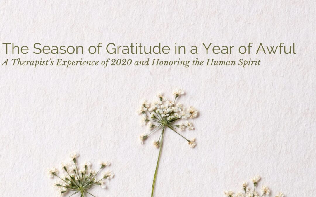 The season of Gratitude in a Year of Awful- A Therapist’s Experience of 2020 and Honoring the Human Spirit