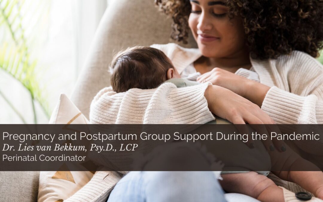 Pregnancy and Postpartum Group Support During the Pandemic