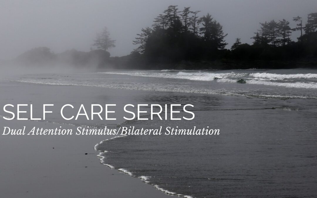 Self Care Series: Dual Attention Stimulus/Bilateral Stimulation