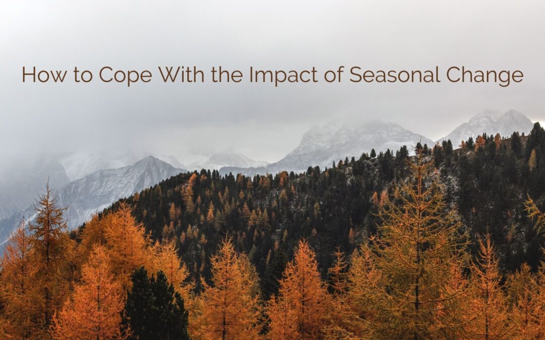 How to Cope With the Impact of Seasonal Change