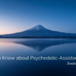 psychedelic assisted therapy