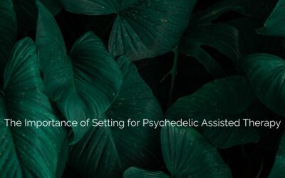 The Importance of Setting for Psychedelic Assisted Therapy