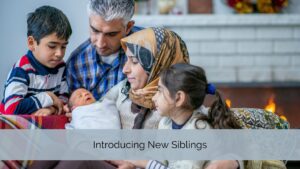 how to introduce new siblings