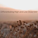 low dose ketamine, high dose ketamine, ketamine therapy,