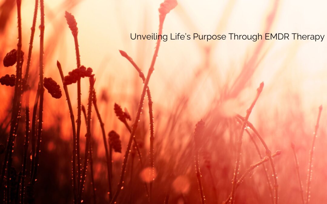 Unveiling Life’s Purpose Through EMDR Therapy