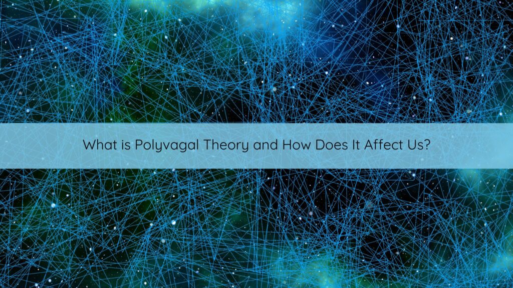 polyvagal theory, therapy, nervous system regulation,
