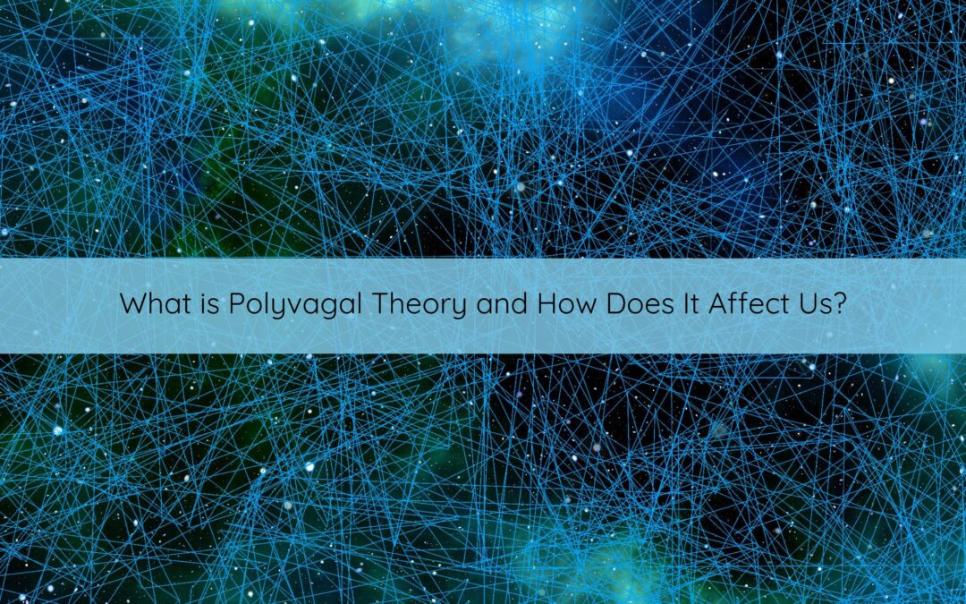 What is Polyvagal Theory and How Does It Affect Us?