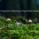 integration for psychedelic therapy