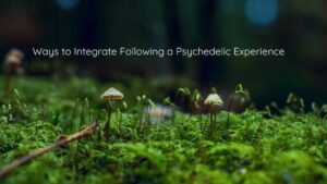 integration for psychedelic therapy