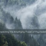 psychedelics, psychedelics in therapy