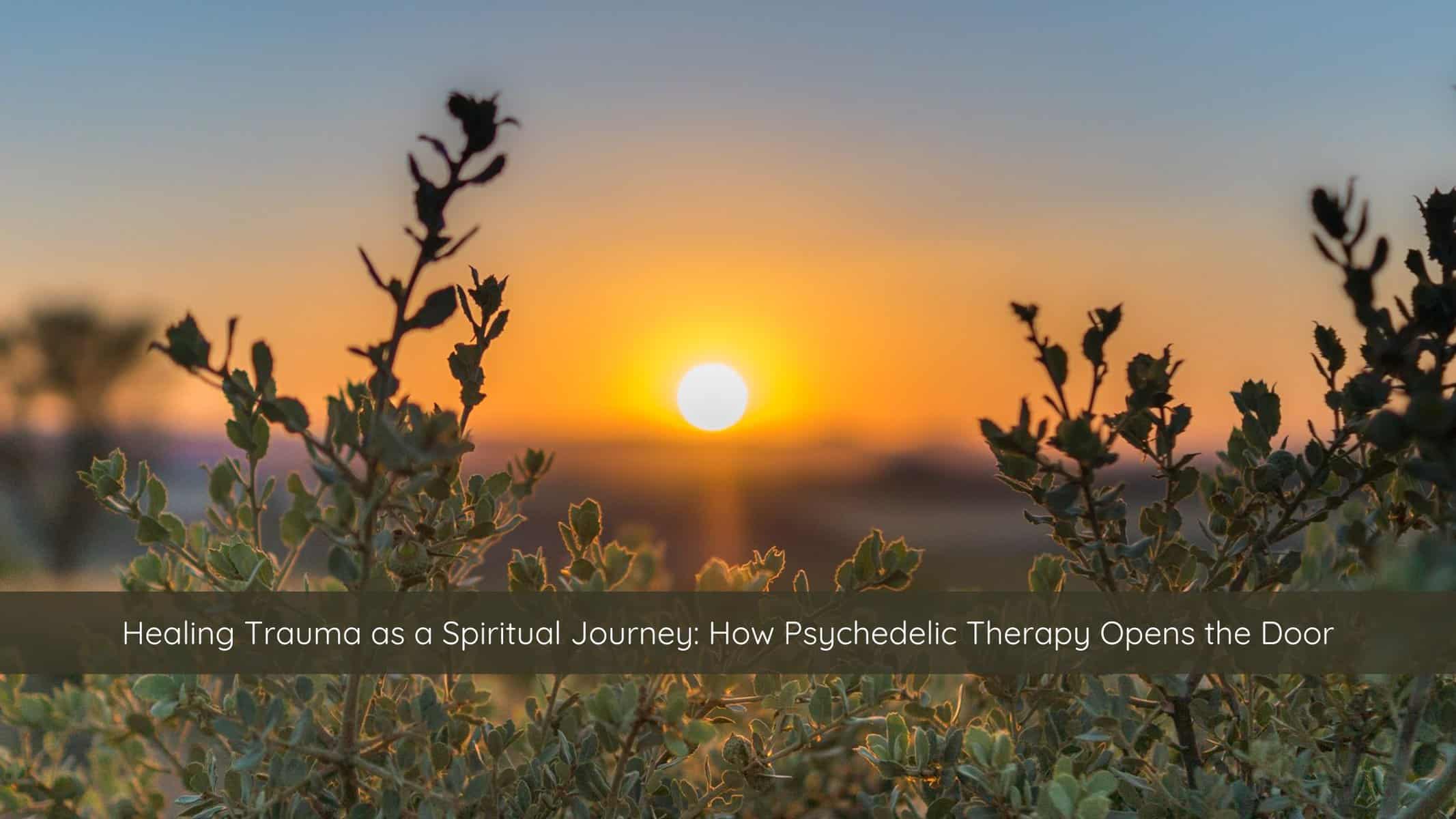 Psychedelic Therapy, Ketamine-Assisted Psychotherapy (KAP), Healing Trauma, Spiritual Healing