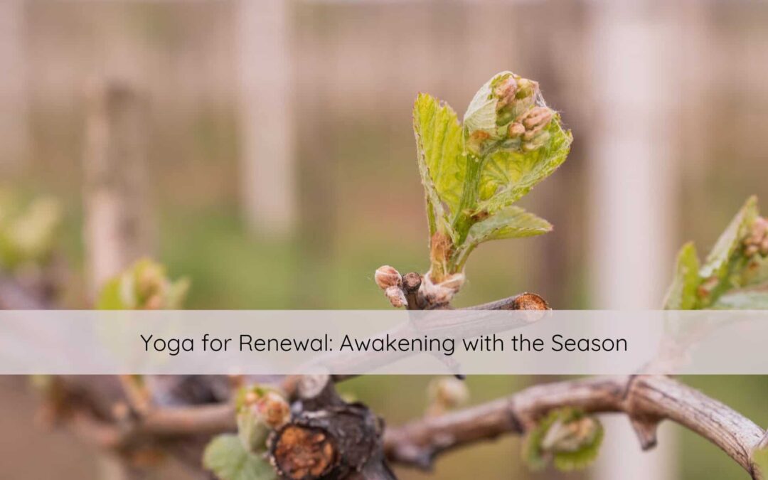 Yoga for Renewal: Awakening with the Season