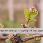 yoga for renewal, trauma sensitive yoga, yoga for trauma
