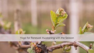 yoga for renewal, trauma sensitive yoga, yoga for trauma