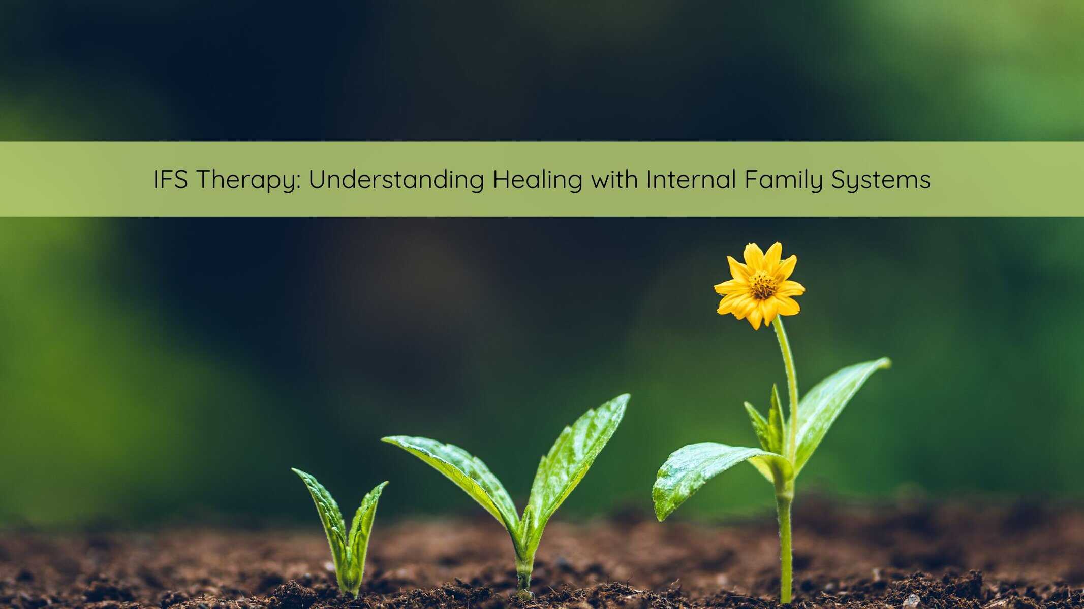 IFS Therapy Understanding Healing with Internal Family Systems | Catalyst Center IFS Therapy