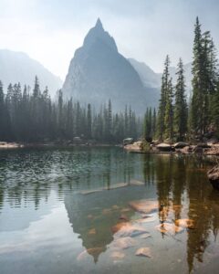 A photograph taken in nature symbolizing the peace and tranquility that one feels after seeking integrative psychiatric health care.