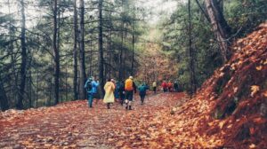Different people walking in nature, representing the diverse ways depression can show up and be treated in therapy.