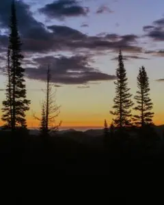 Peaceful Evergreen, Colorado landscape symbolizing resilience and healing after community tragedy.