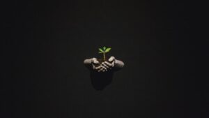 Hands holding a small green sprout, symbolizing compassion and growth in IFS therapy.