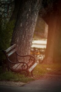 Peaceful, hopeful imagery — a person sitting outdoors in nature, with sunlight breaking through trees, representing healing and accessibility.
