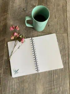 Calendar tracking hormonal cycles and mood patterns