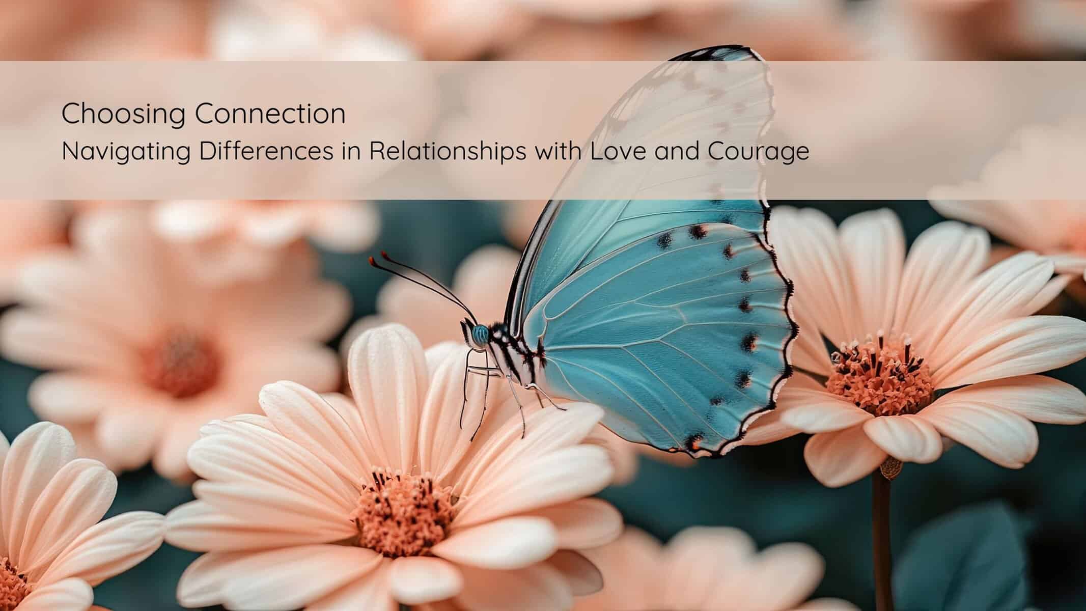 Choosing Connection Navigating Differences in Relationships with Love and Courage | Catalyst Center Image of a butterfly on a flower, symbolizing learning how to navigate relationships in therapy