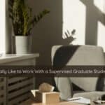 What Its Really Like to Work With a Supervised Graduate Student Therapist | Catalyst Center Welcoming therapy space symbolizing reflection and support in counseling.