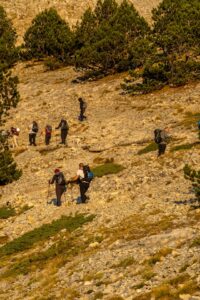 Group of people walking on a forest trail, representing diverse individuals who benefit from IFS therapy.