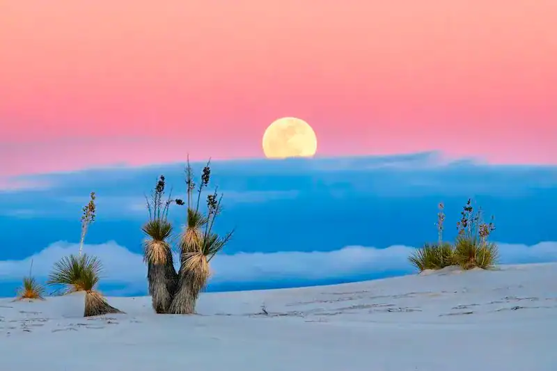 pink sky sunset over white sand