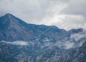 Birds soaring above mountain peaks, symbolizing freedom, clarity, and emotional healing through EMDR therapy