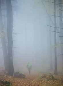 Person walking along a foggy path with sunlight ahead, representing the journey from confusion to clarity.