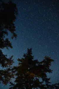Abstract night sky blending with tree silhouette to symbolize the unconscious in dream analysis.