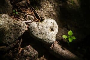 Hands cradling a heart-shaped stone, symbolizing compassion and acceptance.