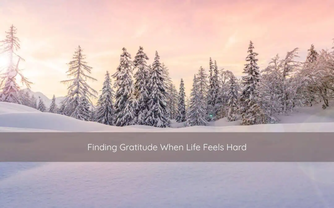 Finding Gratitude When Life Feels Hard