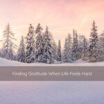 Finding Gratitude When Life Feels Hard | Catalyst Center Soft winter light illuminating snow-covered pine trees in a quiet forest, creating a calm and grounding atmosphere for a reflective gratitude practice.
