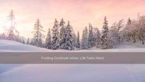 Soft winter light illuminating snow-covered pine trees in a quiet forest, creating a calm and grounding atmosphere for a reflective gratitude practice.