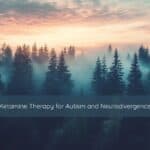 Soft morning light filtering through a quiet mountain forest