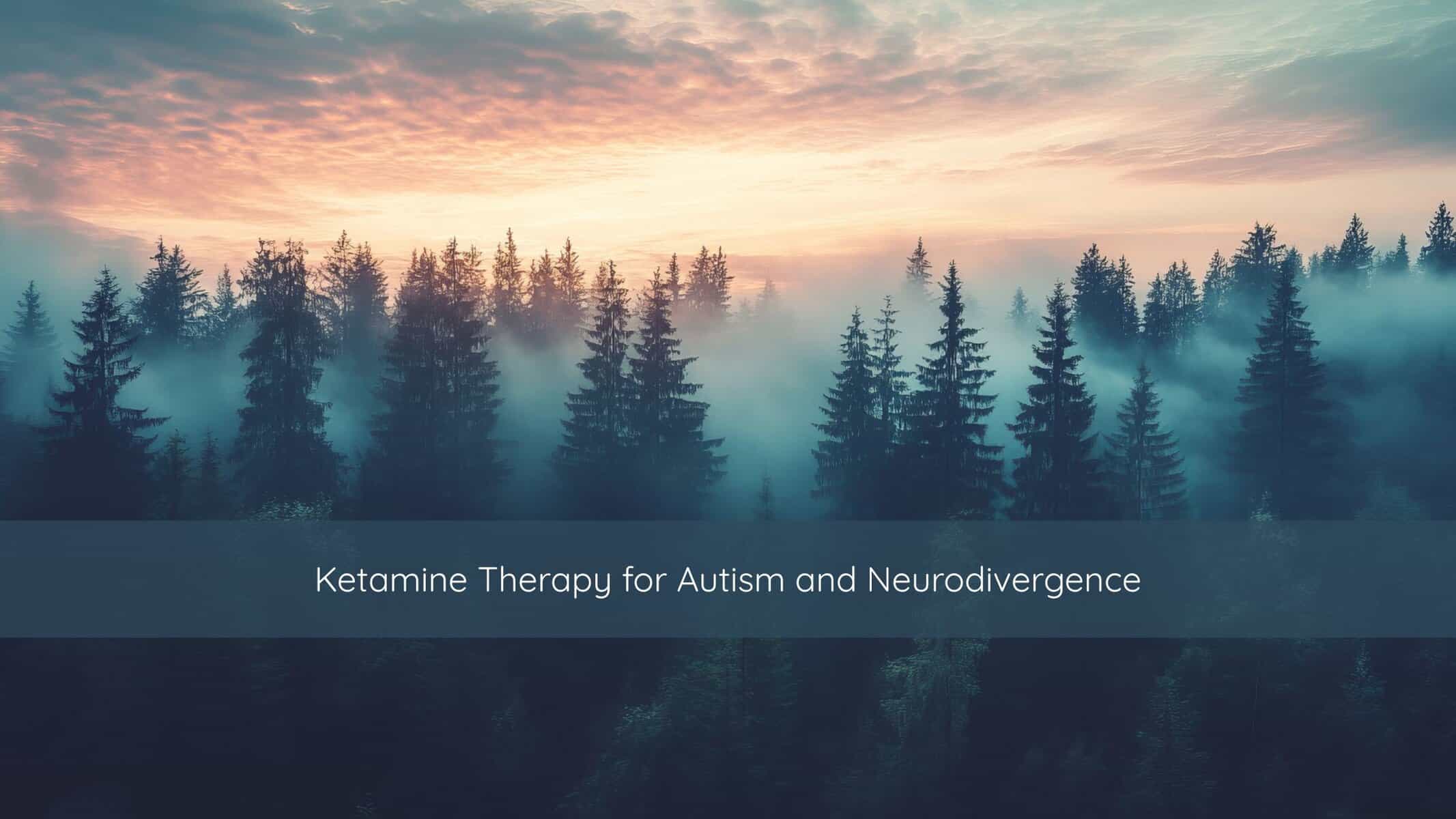 Ketamine Therapy for Autism and Neurodivergence | Catalyst Center Soft morning light filtering through a quiet mountain forest