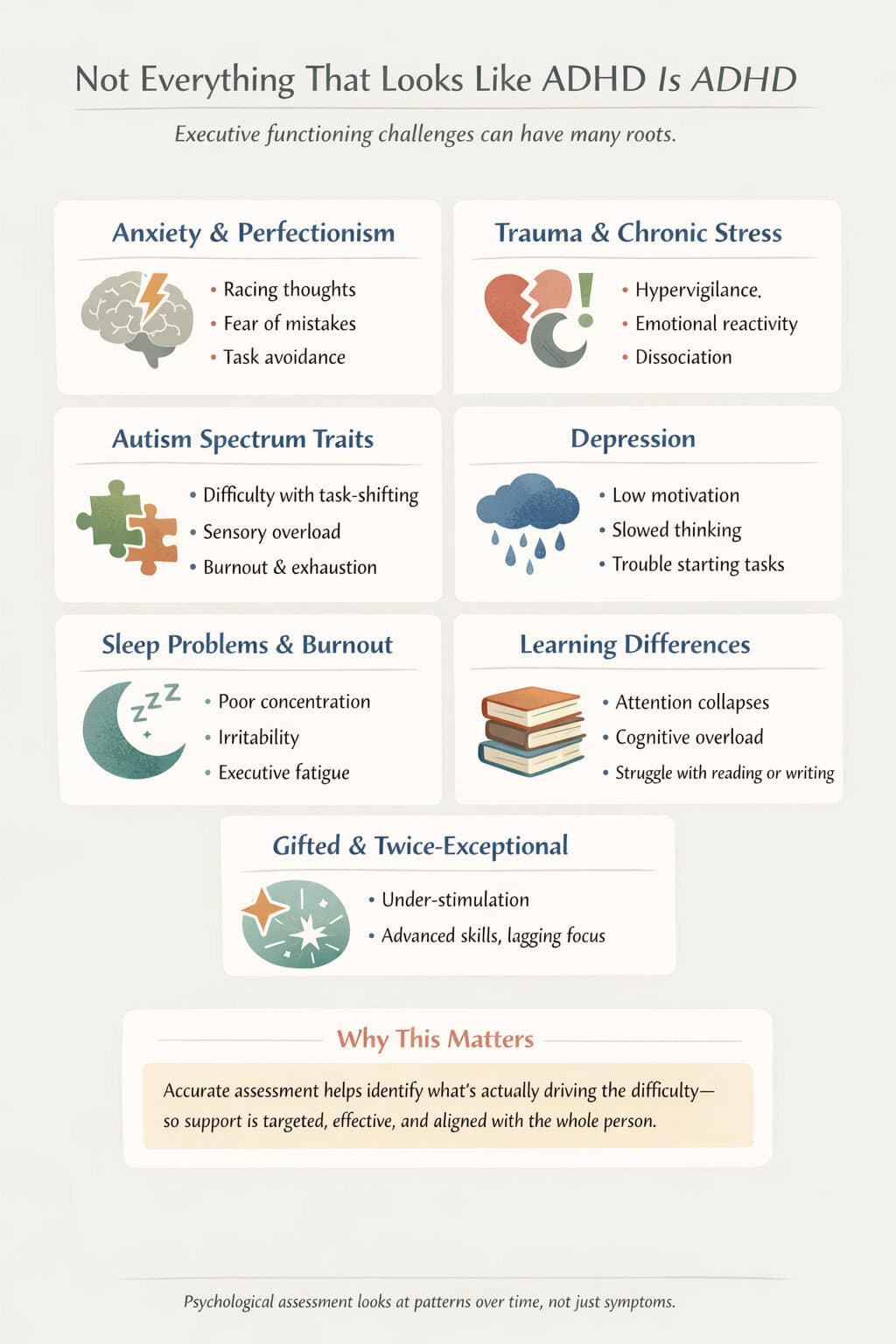 Infographic showing conditions that mimic ADHD and impact executive functioning.