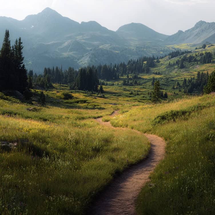 mountains path square | Catalyst Center