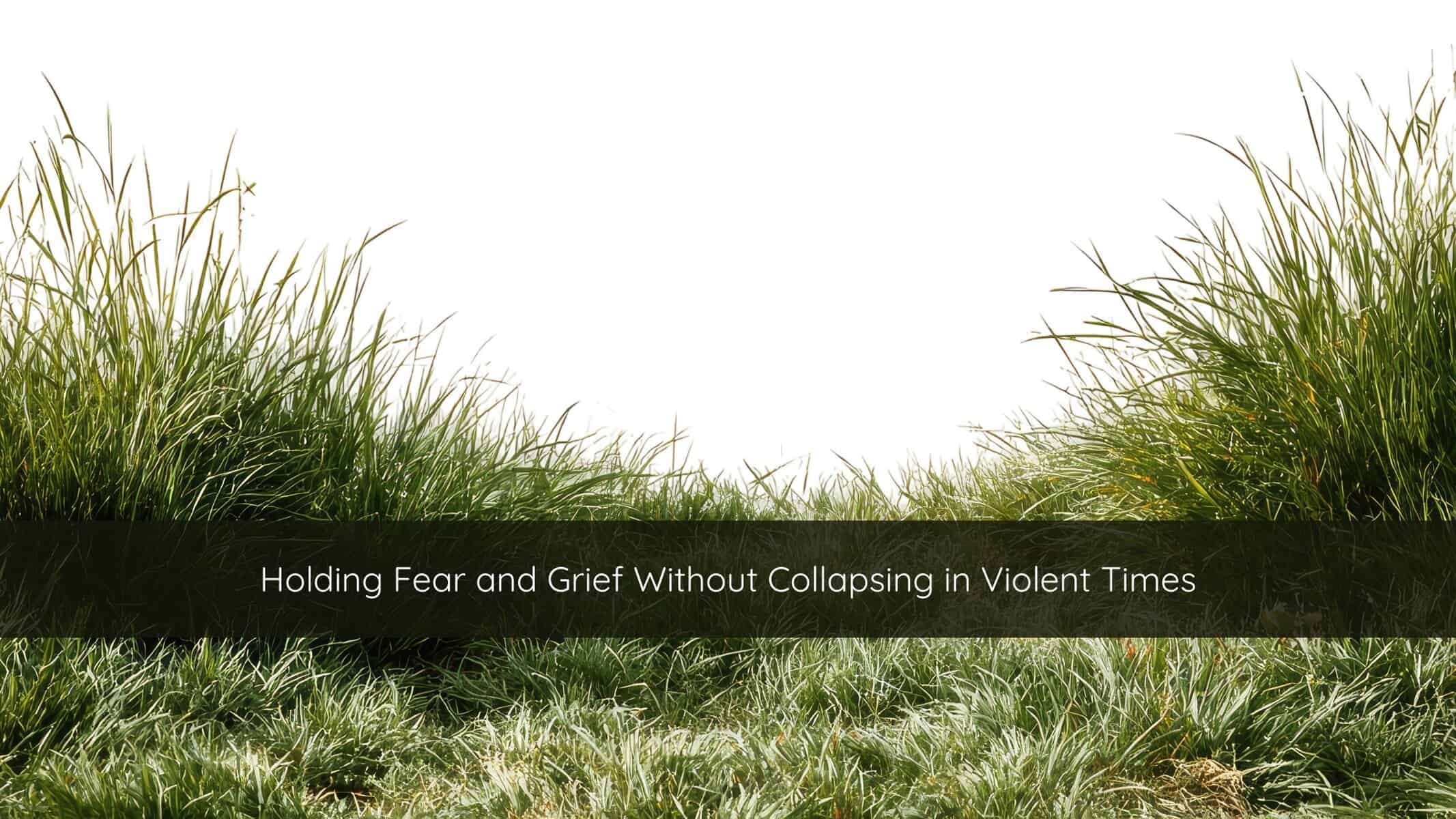 Soft green grass moving gently in the wind, symbolizing grounding, nervous system regulation, and calm during times of fear and grief.