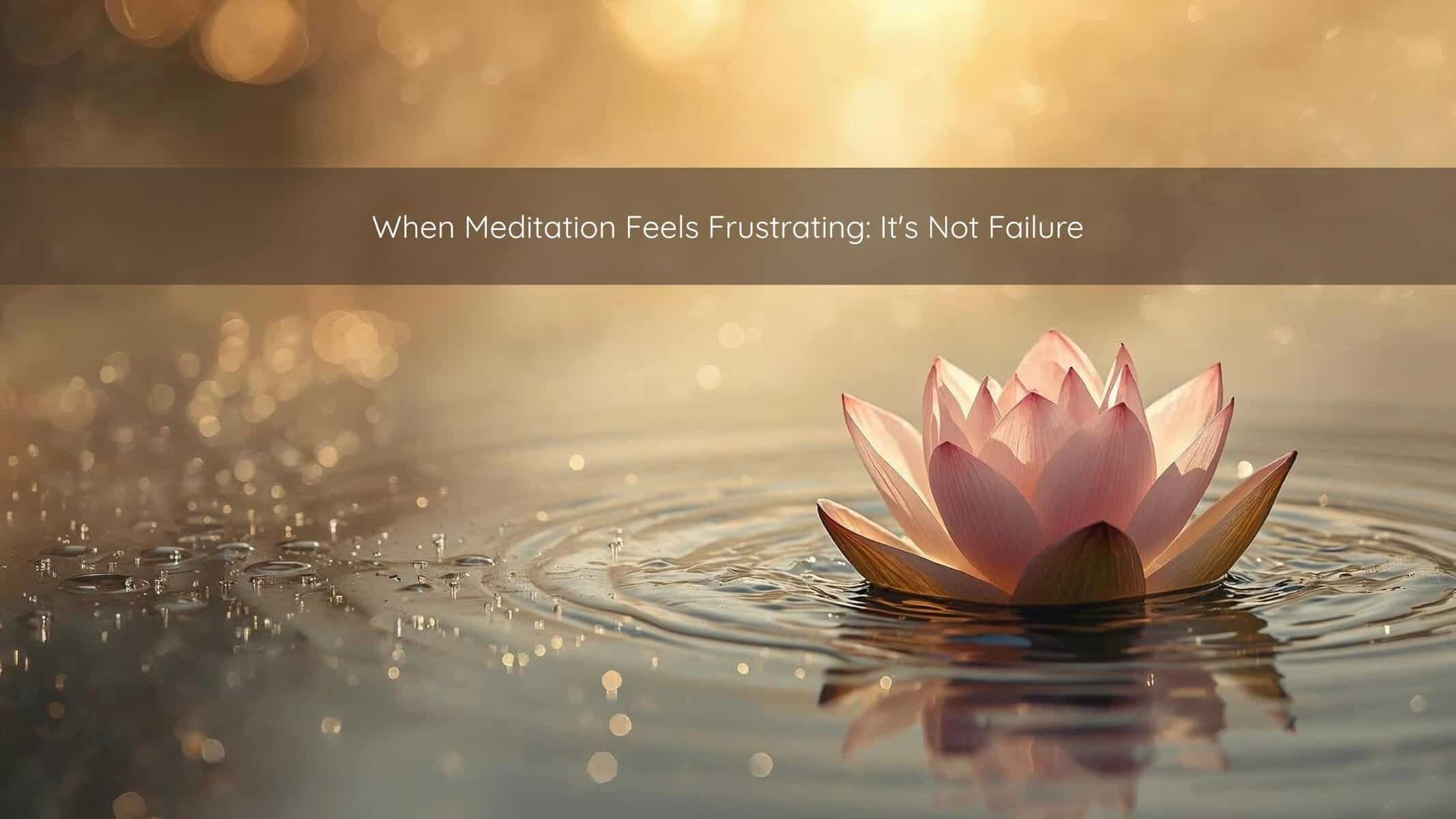 A pink lotus flower floating on still water with gentle ripples, bathed in warm golden morning light with a soft bokeh background