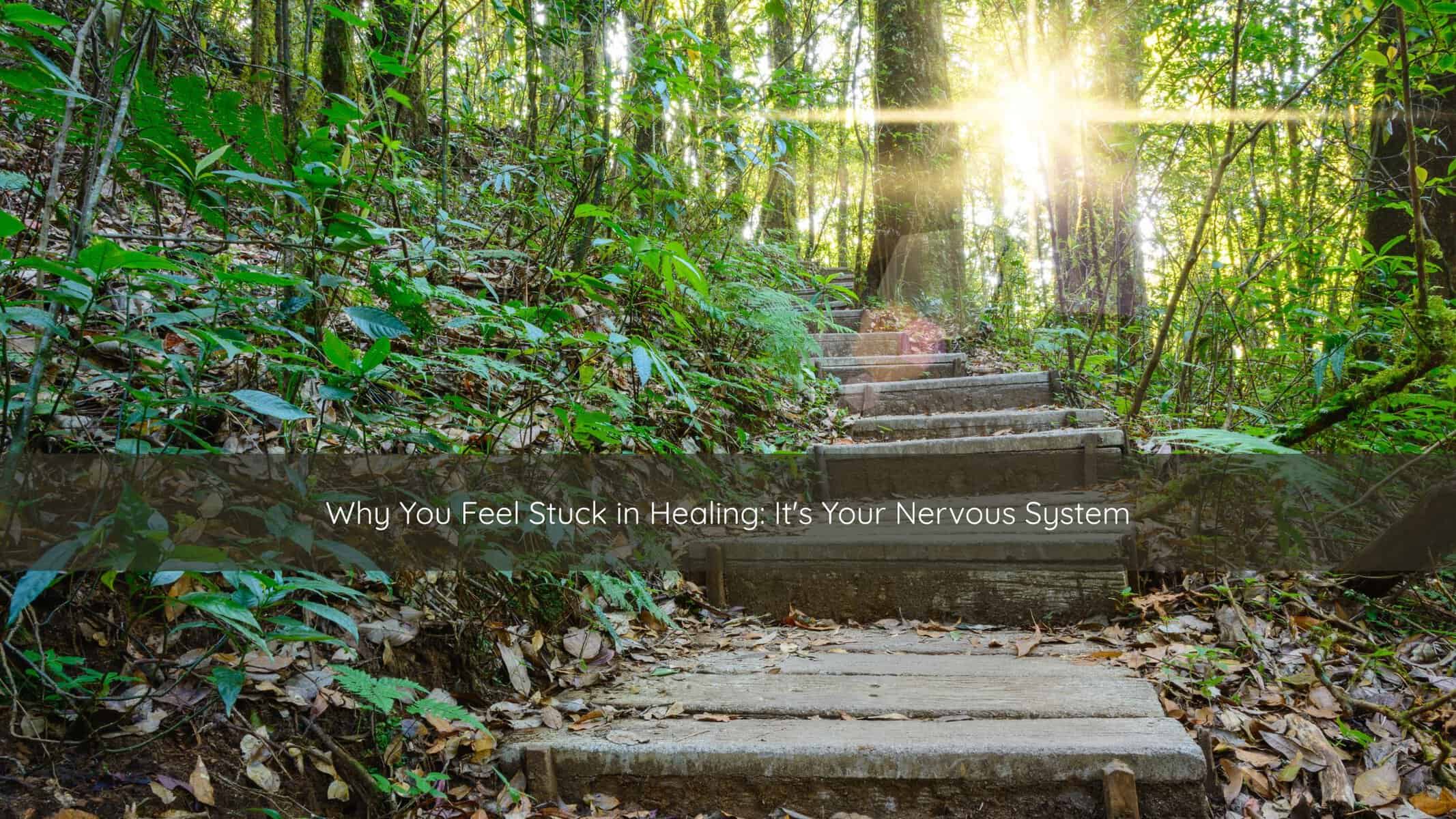 A winding wooded path with soft sunlight filtering through trees, symbolizing the journey of trauma recovery