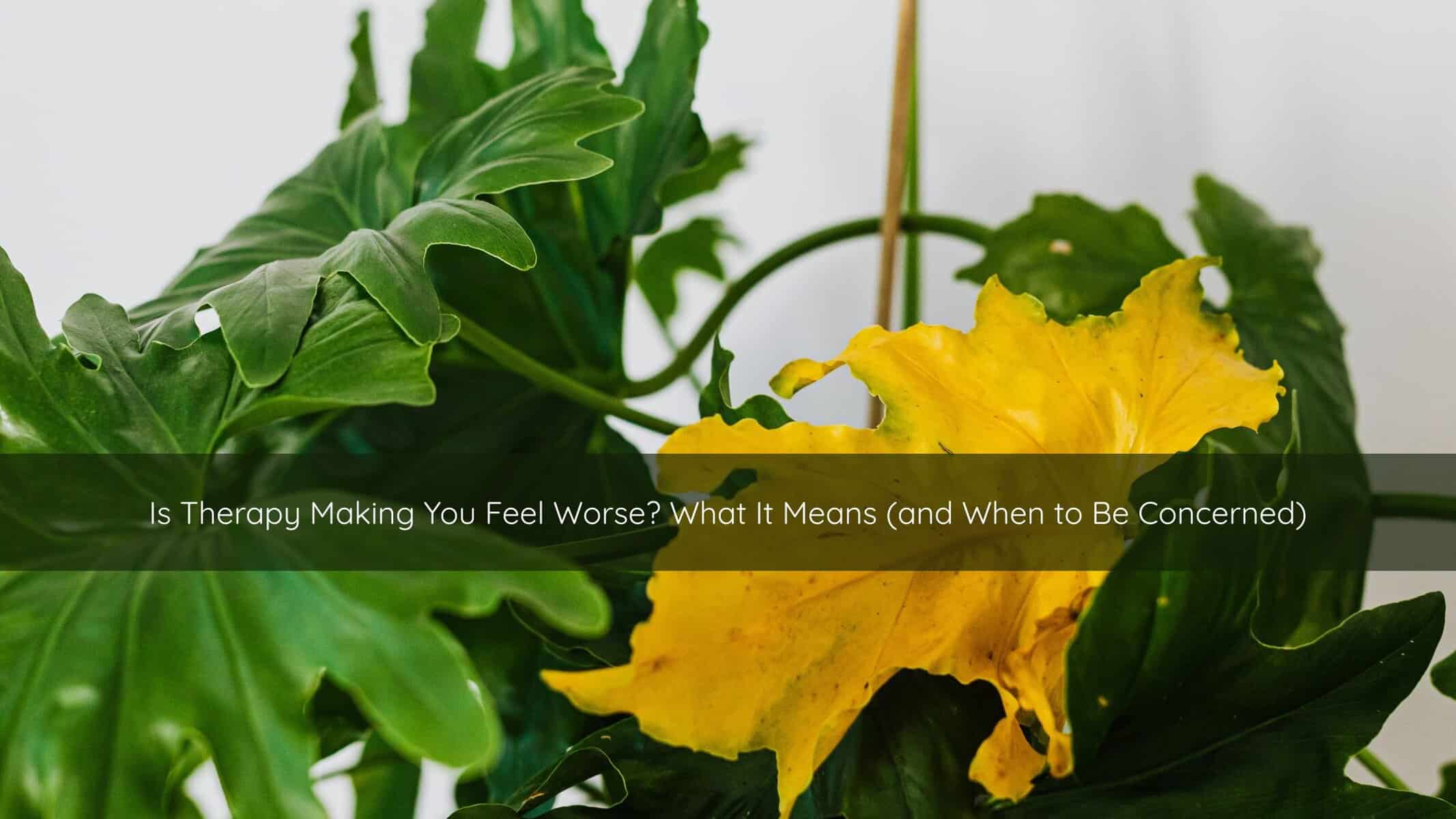 Therapy feeling harder before it gets better — a plant in soft light representing the healing process