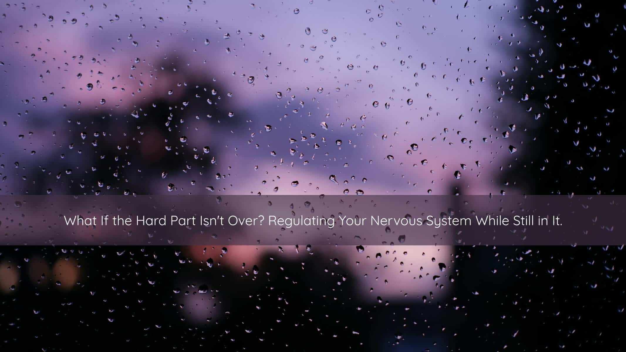 Raindrops on a window pane, representing nervous system regulation during ongoing hardship